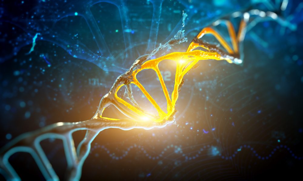 Study identifies genes most likely to lead to heart attacks