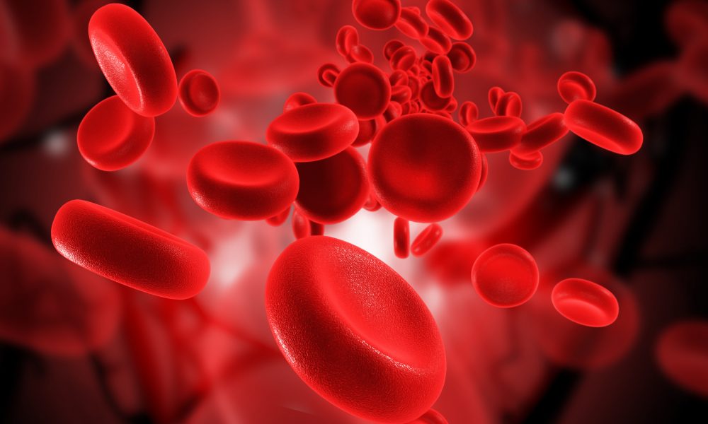 NHS approves life-extending blood cancer drug