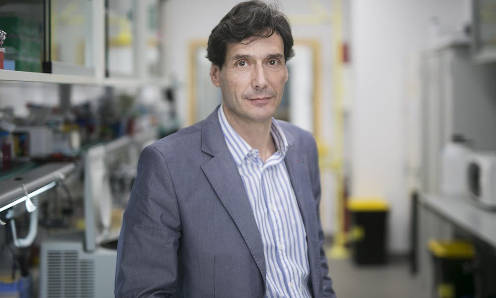 Researchers reprogram cells to rejuvenate mouse organs