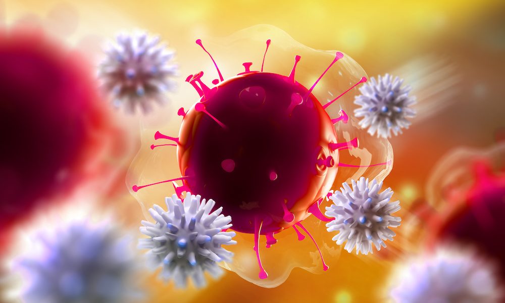 Study reveals how to boost immune system of the elderly