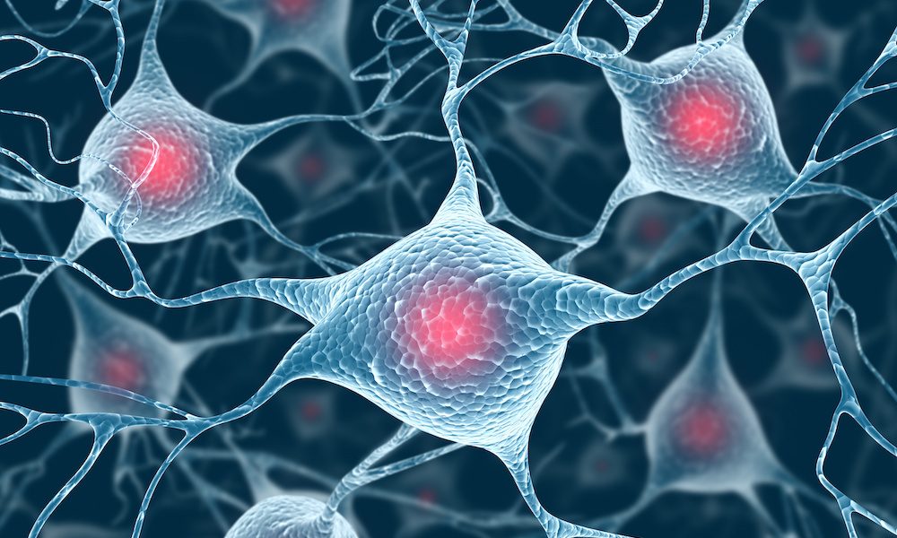 Senescent brain cells may contribute to Alzheimer’s disease