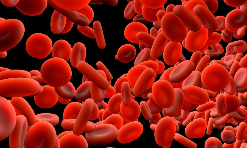 Researchers unlock secrets of ageing in blood stem cells
