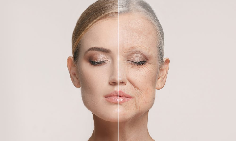 Unveiling the secrets of ageing: dual role of immunoglobulins discovered