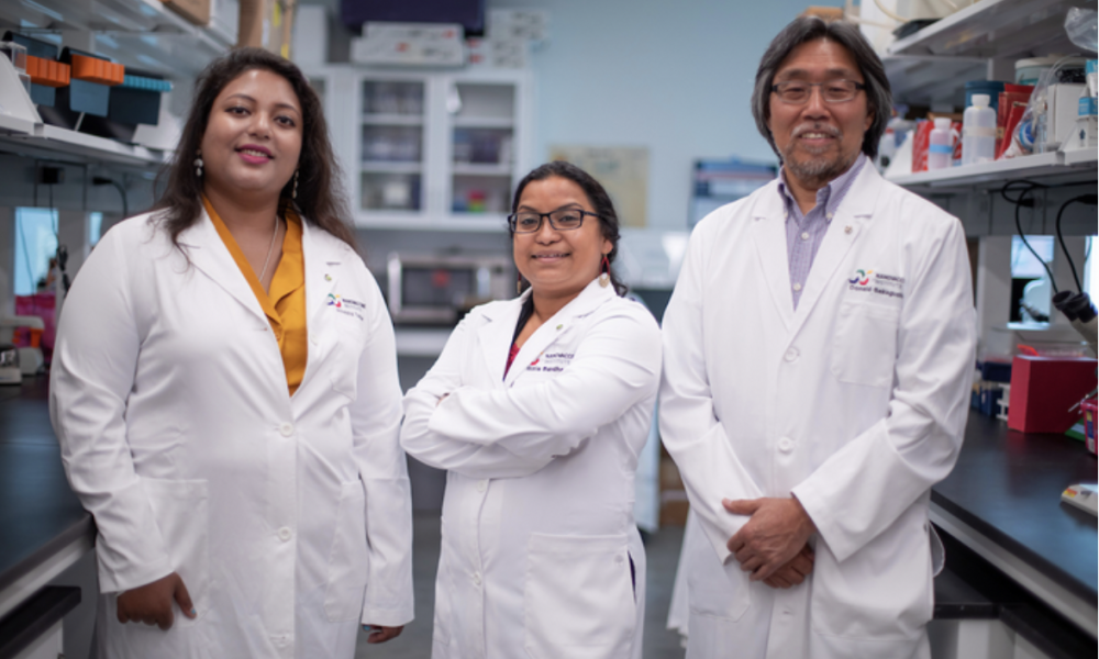 Nanocarriers could lead to new treatments for Alzheimer’s and more