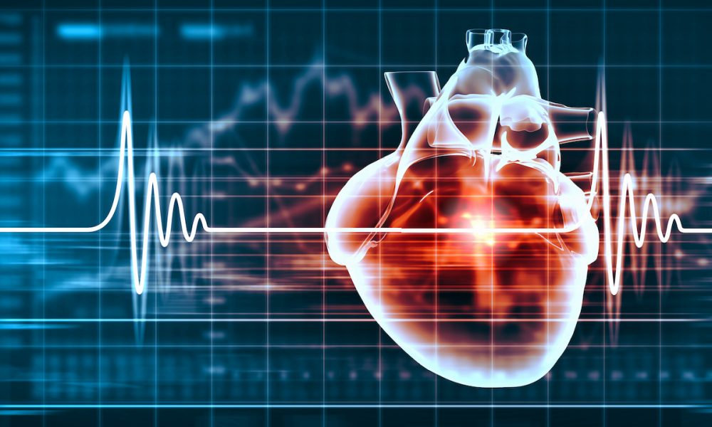 New tool can help clinicians calculate risk of surgery in heart patients