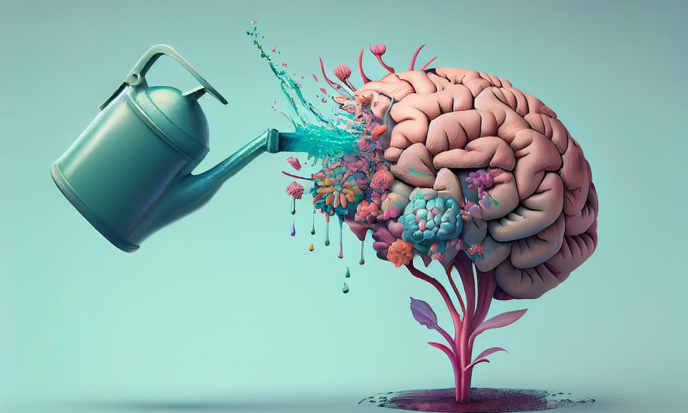 Canada pledges $30 million for innovation in ageing and brain health