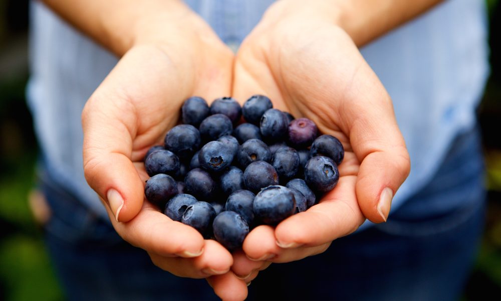 Handful of blueberries a day could help keep brain fog and high blood pressure at bay