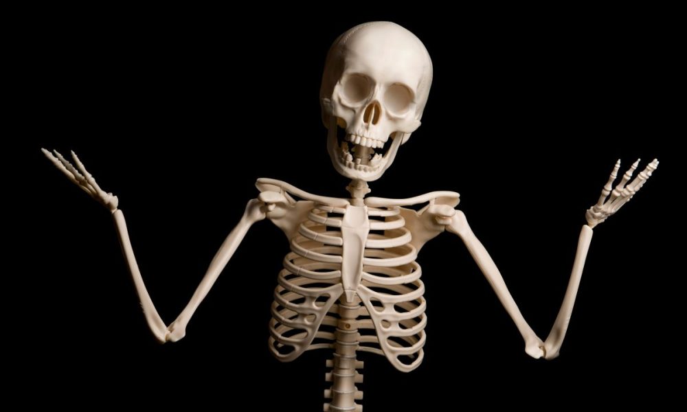 Scientists taste sweet success with ageing bone regeneration