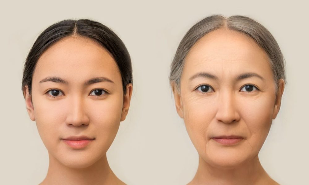 IL-17 protein identified as playing central role in skin ageing
