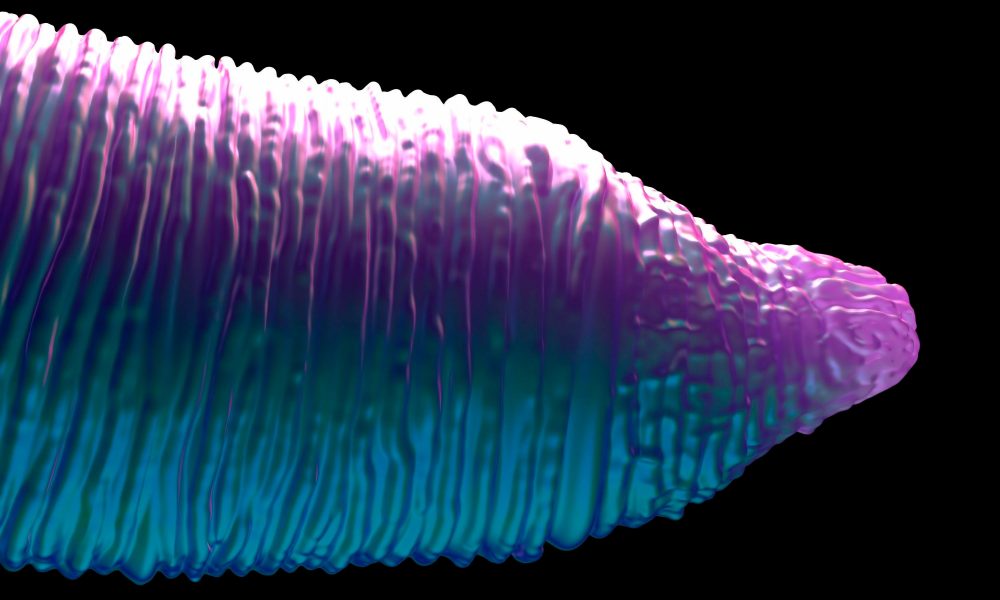 Mitochondria-targeting antibiotics may have potential to prolong life