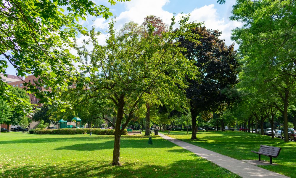 Better mental and physical health in older people tied to living near nature