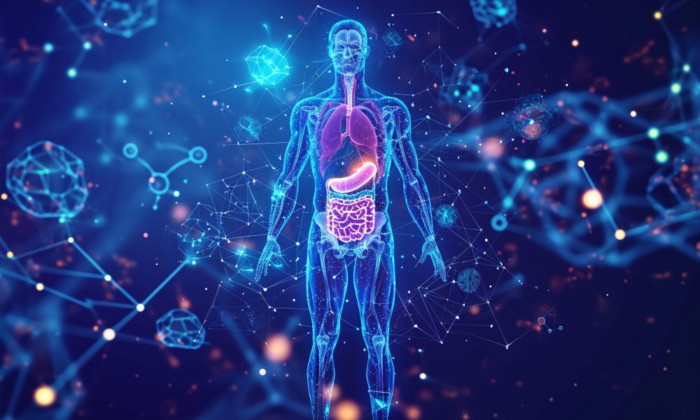 New pathway involved in ageing identified