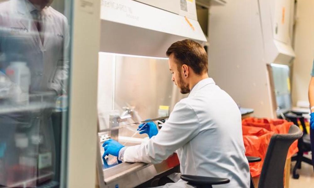 Research points to new ways of improving life and health span