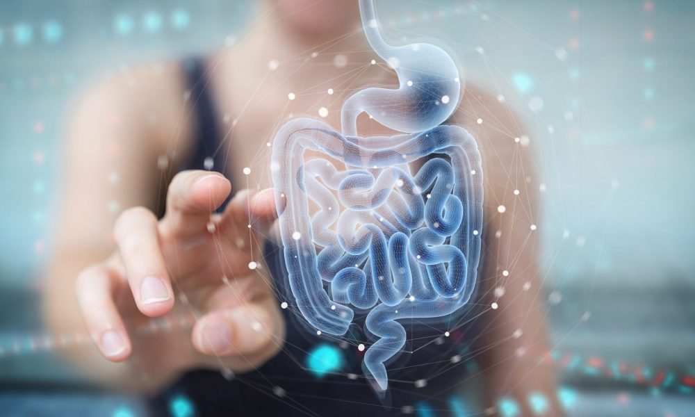 Signals from the gut could transform rheumatoid arthritis treatment