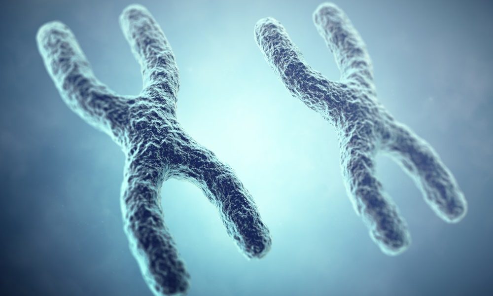 Shorter telomeres linked to higher risk of stroke and dementia, but healthy habits may cancel it out