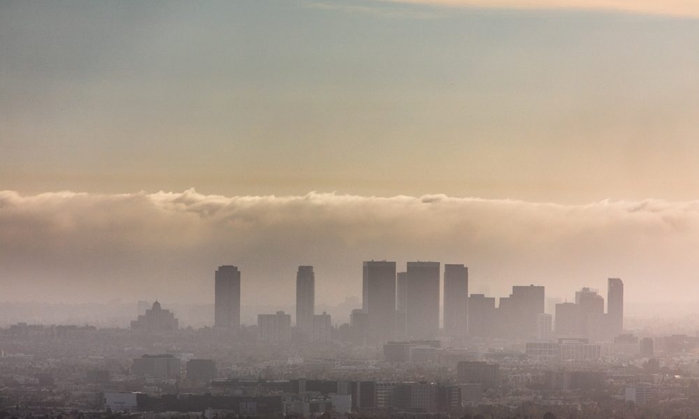 Air pollution can drive devastating forms of dementia, study suggests