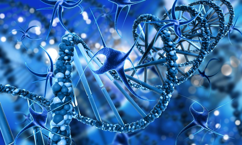 New technique can track Alzheimer’s in real time