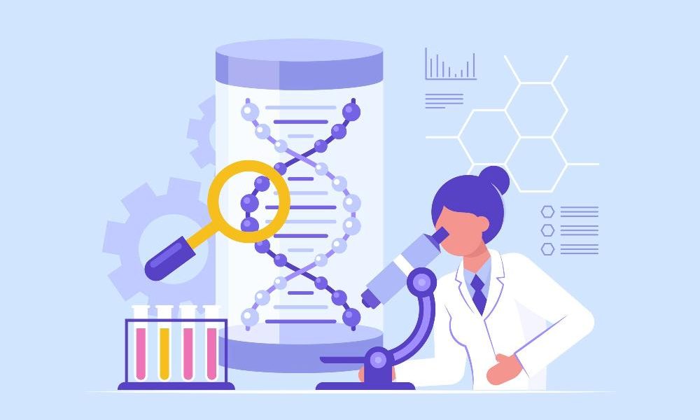 Researchers find new drug extends lifespan