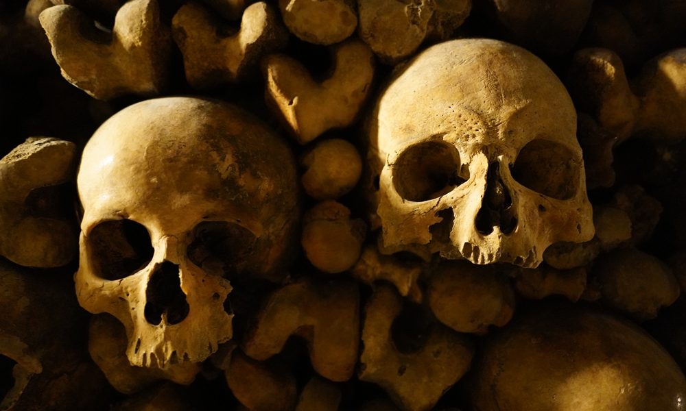 Researchers use prehistoric skeletons to study ageing