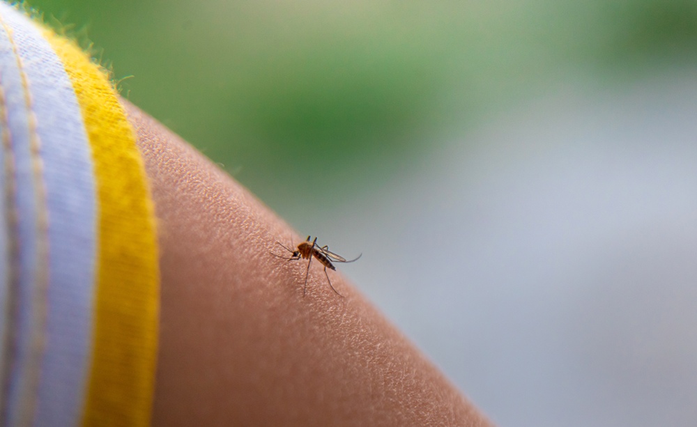 Severe childhood malaria linked to cognitive impairment later in life